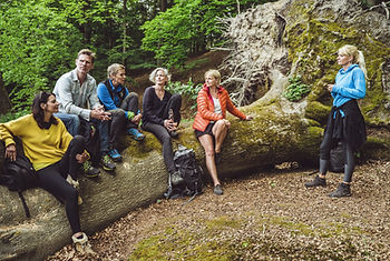 Gruppe von sechs Personen in Outdoor-Kleidung sitzt und steht auf einem umgestürzten Baumstamm im Wald