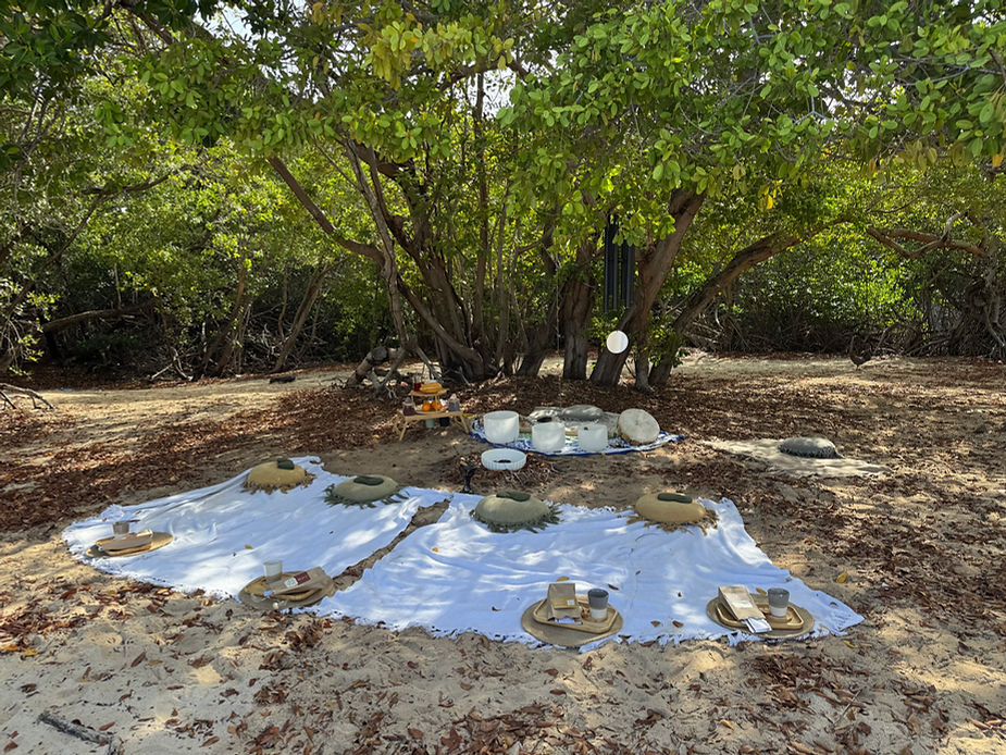 Picknickdecke mit Tellern, Schalen und Bechern unter einem Baum auf sandigem Boden für die Kakaozeremonie