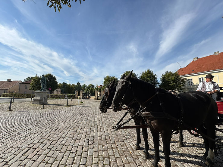 Zwei angespannte Pferde vor einem Pflasterplatz mit Statuen und Gebäuden im Hintergrund unter blauem Himmel