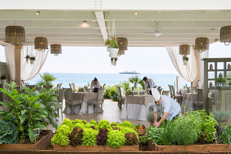 Koch in weißer Kleidung erntet Kräuter in einem überdachten Restaurant mit Blick aufs Meer und gedeckten Tischen