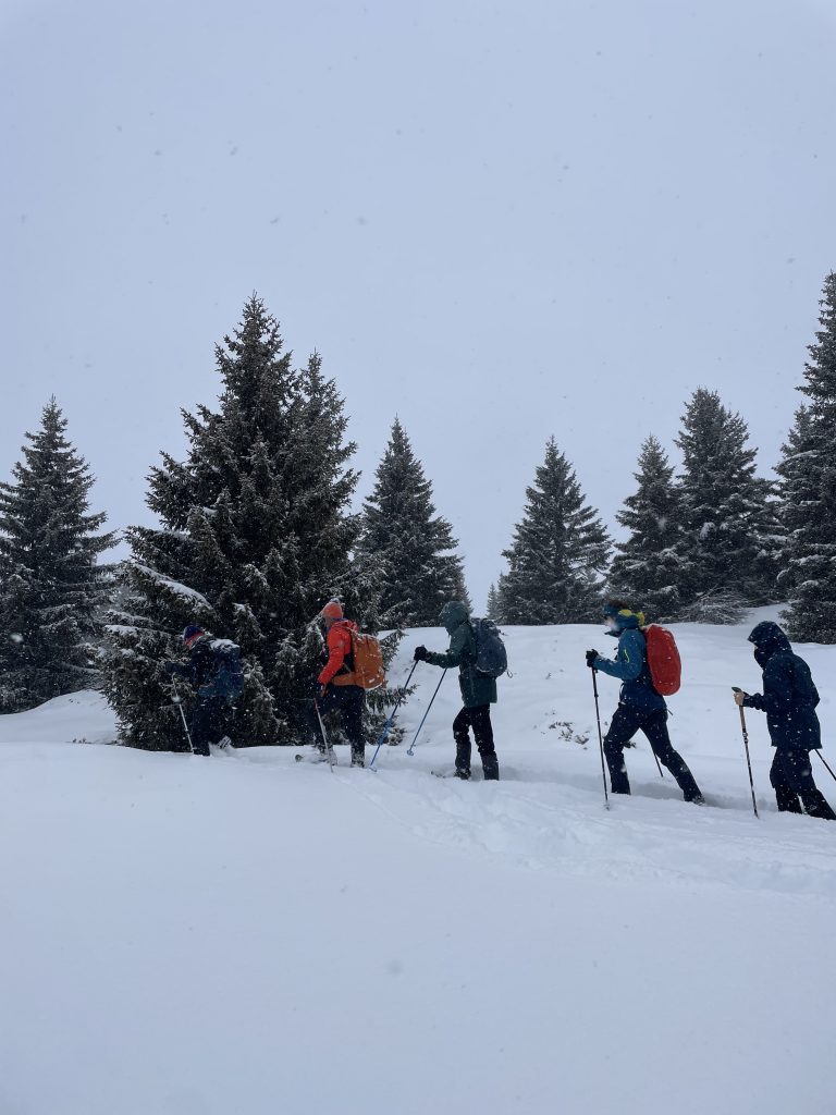 Fünf Personen mit Rucksäcken und Wanderstöcken wandern in einer verschneiten Landschaft an Tannenbäumen vorbei
