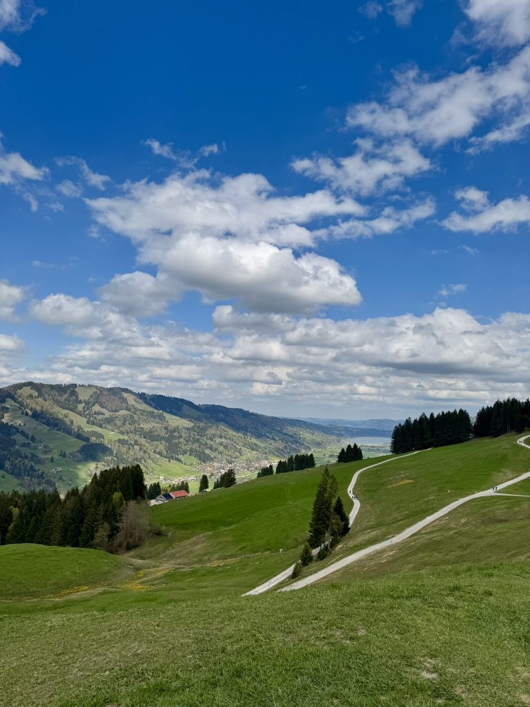 Grüne Hügel mit einem gewundenen Weg, umgeben von Wäldern und Bergen unter einem bewölkten Himmel