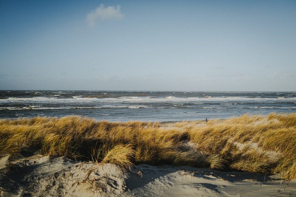 Strand mit Dünengras im Vordergrund und Wellen im Meer unter bewölktem Himmel