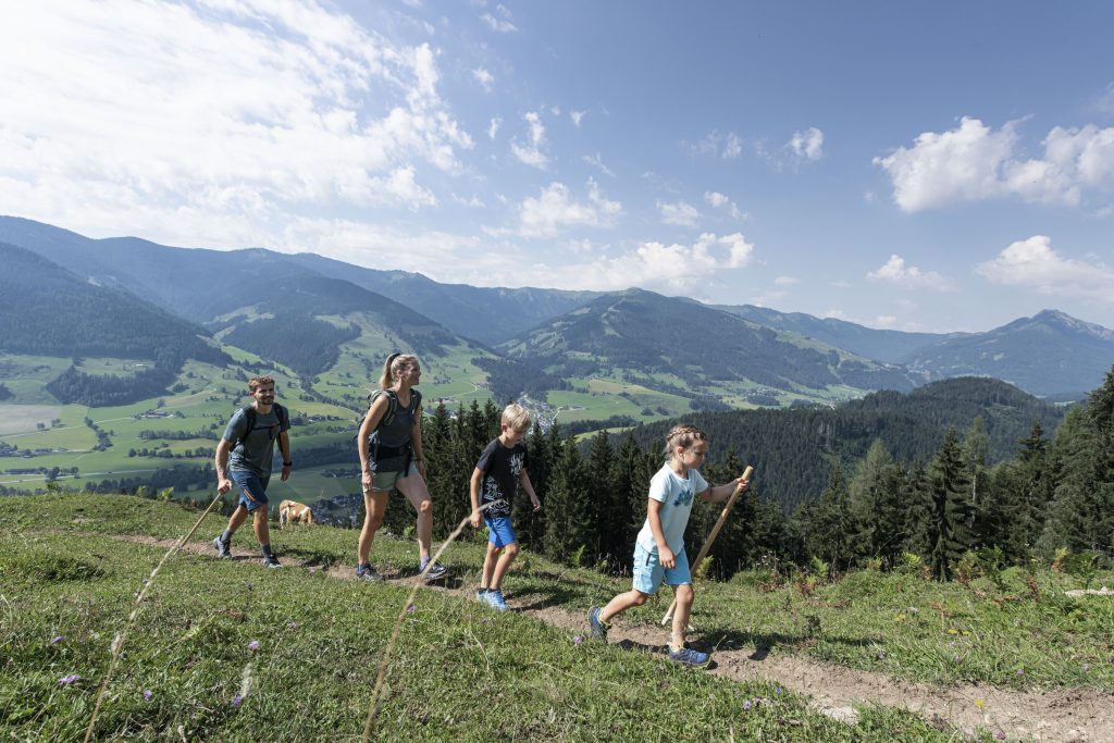 Vier Personen wandern mit Stöcken auf einem Bergpfad vor bewaldeten Hügeln und Bergen unter blauem Himmel