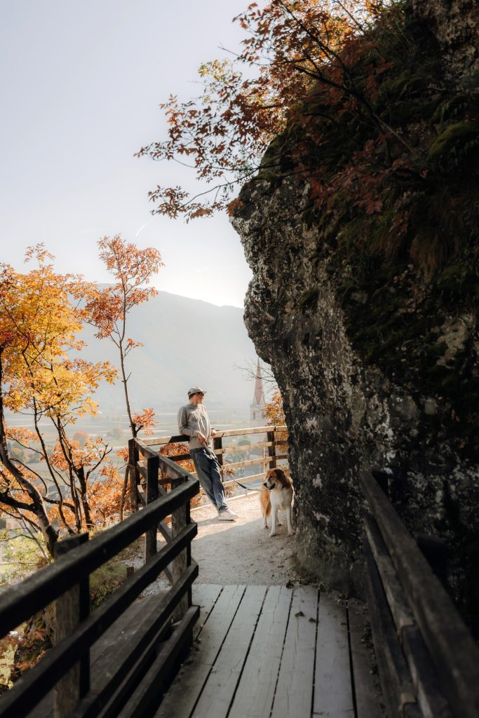 Person lehnt an einem Geländer auf einem schmalen Holzsteg neben einem großen Felsen mit herbstlich gefärbtem Laub und einem Hund an der Seite