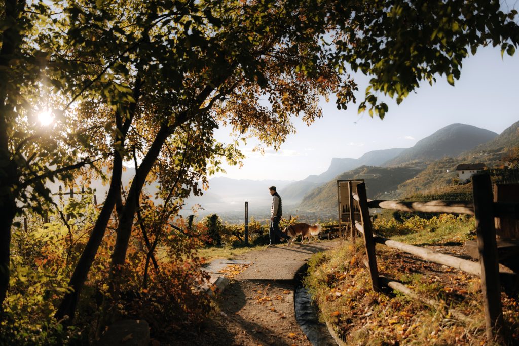 Person mit Hund auf einem Weg in herbstlicher Landschaft mit Bergen im Hintergrund