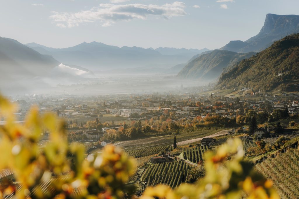 Blick über Weinberge auf eine Stadt in einem Tal mit Bergen im Hintergrund und leichtem Nebel